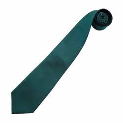 Premier Mens Colours Fashion Tie - One Size, Bottle Green