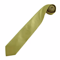Premier Mens Colours Fashion Tie - One Size, Grass Green