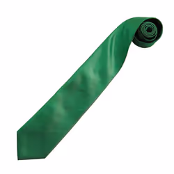 Premier Mens Colours Fashion Tie - One Size, Emerald