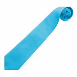 Premier Mens Colours Fashion Tie - One Size, Turquoise