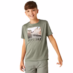 Regatta Childrens/Kids Alvardo VIII Explore Landscape T-Shirt - 3-4 Years, Agave Green