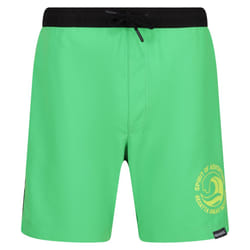 Regatta Mens Bentham Swim Shorts - L, Fairway Green/Black