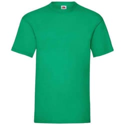 Fruit of the Loom Mens Valueweight T-Shirt - S, Kelly Green