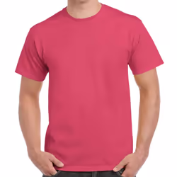 Gildan Adults Unisex Heavy Cotton T Shirt - XXL, Heliconia