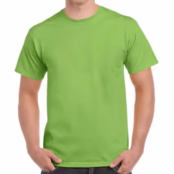Gildan Adults Unisex Heavy Cotton T Shirt - M, Lime
