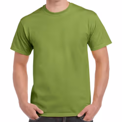 Gildan Adults Unisex Heavy Cotton T Shirt - 3XL, Kiwi