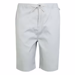 Regatta Mens Aldan Chino Shorts - 33R, Silver Grey