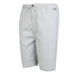 Regatta Mens Aldan Chino Shorts - 33R, Silver Grey