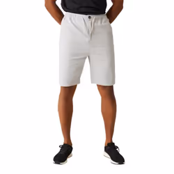 Regatta Mens Aldan Chino Shorts - 33R, Silver Grey