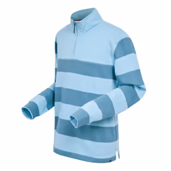Regatta Mens Agilno Striped Half Zip Fleece Top - XL, Powder Blue/Coronet Blue