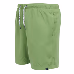Regatta Mens Mackleyna Swim Shorts - 3XL, Piquant Green