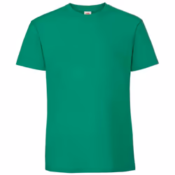 Fruit Of The Loom Mens Ringspun Premium T-Shirt - M, Kelly Green