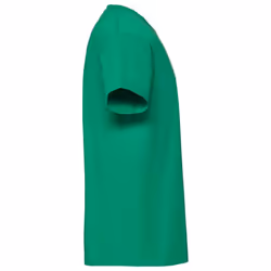 Fruit Of The Loom Mens Ringspun Premium T-Shirt - M, Kelly Green