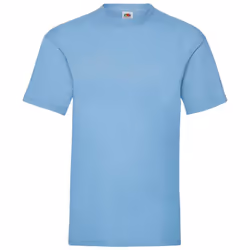 Fruit of the Loom Mens Valueweight T-Shirt - S, Sky
