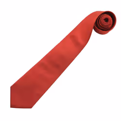 Premier Mens Colours Fashion Tie - One Size, Burgundy