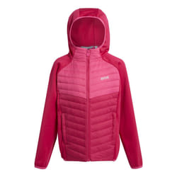 Regatta Childrens/Kids Kielder VIII Hybrid Jacket - 14 Years, Pink Potion/Flamingo Pink