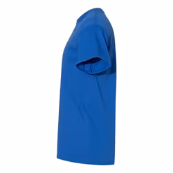 Gildan Mens Heavy Cotton T-Shirt - XXL, Royal Blue