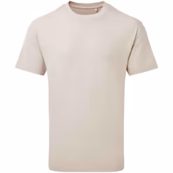 Anthem Unisex Adult Heavyweight T-Shirt - XS, Stone