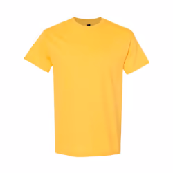 Gildan Mens Heavy Cotton T-Shirt - L, Daisy