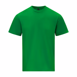 Gildan Unisex Adult Softstyle Midweight T-Shirt - 5XL, Irish Green