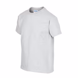 Gildan Childrens/Kids Heavy Cotton T-Shirt - L, Ash