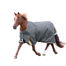 Highlander Plus Combo Horse Turnout Rug - 8' 7", Green
