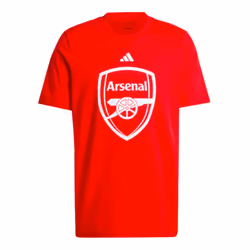2024-2025 Arsenal DNA Graphic Tee (Red) (Campbell 23) - S