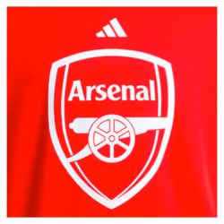 2024-2025 Arsenal DNA Graphic Tee (Red) (Campbell 23) - S