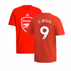 2024-2025 Arsenal DNA Graphic Tee (Red) (G.Jesus 9) - XS