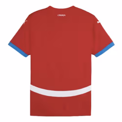 2024-2025 Serbia Home Shirt (Tadic 10) - M