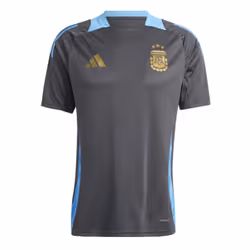 2024-2025 Argentina Training Jersey (Carbon) (MESSI 10) - M