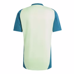 2024-2025 Mexico Training Jersey (Green) (CHICHARITO 14) - XL