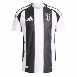 2024-2025 Juventus Authentic Home Shirt (Del Piero 10) - S
