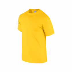 Gildan Unisex Adult Ultra Cotton T-Shirt - M, Daisy