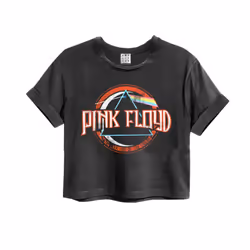 Amplified Womens/Ladies On The Run Pink Floyd Crop T-Shirt - L, Charcoal