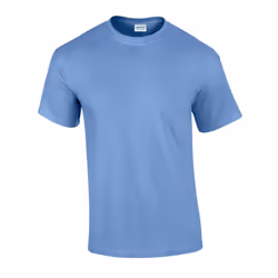 Gildan Unisex Adult Ultra Cotton T-Shirt - M, Carolina Blue