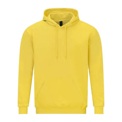 Gildan Unisex Adult Softstyle Fleece Midweight Hoodie - L, Daisy