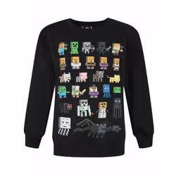 Minecraft Boys Sprites Sweatshirt - 12-13 Years, Black