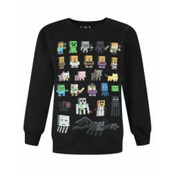 Minecraft Boys Sprites Sweatshirt - 12-13 Years, Black