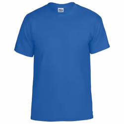 Gildan Mens Plain Lightweight T-Shirt - L, Royal Blue