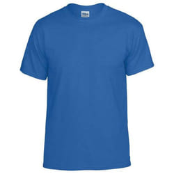 Gildan Mens Plain Lightweight T-Shirt - XXL, Royal Blue