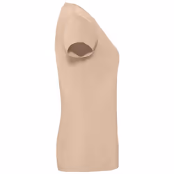 Fruit Of The Loom Womens/Ladies Iconic Ringspun Cotton T-Shirt - XXL, Desert Sand