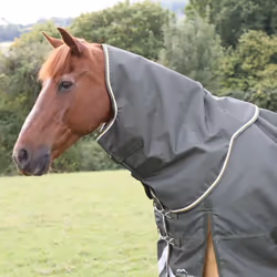 Highlander Plus Combo Neck Horse Turnout Rug & Neck Cover - M, Green