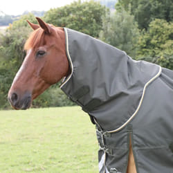 Highlander Plus Combo Neck Horse Turnout Rug & Neck Cover - M, Green
