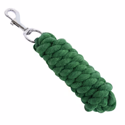 Roma Twisted Dog Lead - 2m, Green