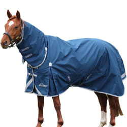 Highlander Combo Neck 50g Horse Turnout Rug - 6' 6", Ocean