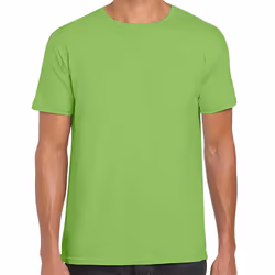 Gildan Mens Short Sleeve Soft-Style T-Shirt - 3XL, Lime
