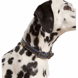 Joules Leather Dog Collar