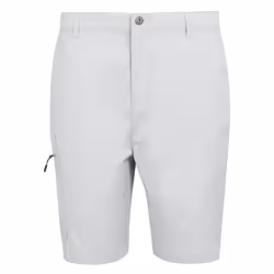 Regatta Mens Dalry Multi Pocket Shorts - 44R, Silver Grey