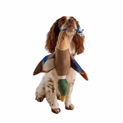 Joules Duck Plush Dog Toy